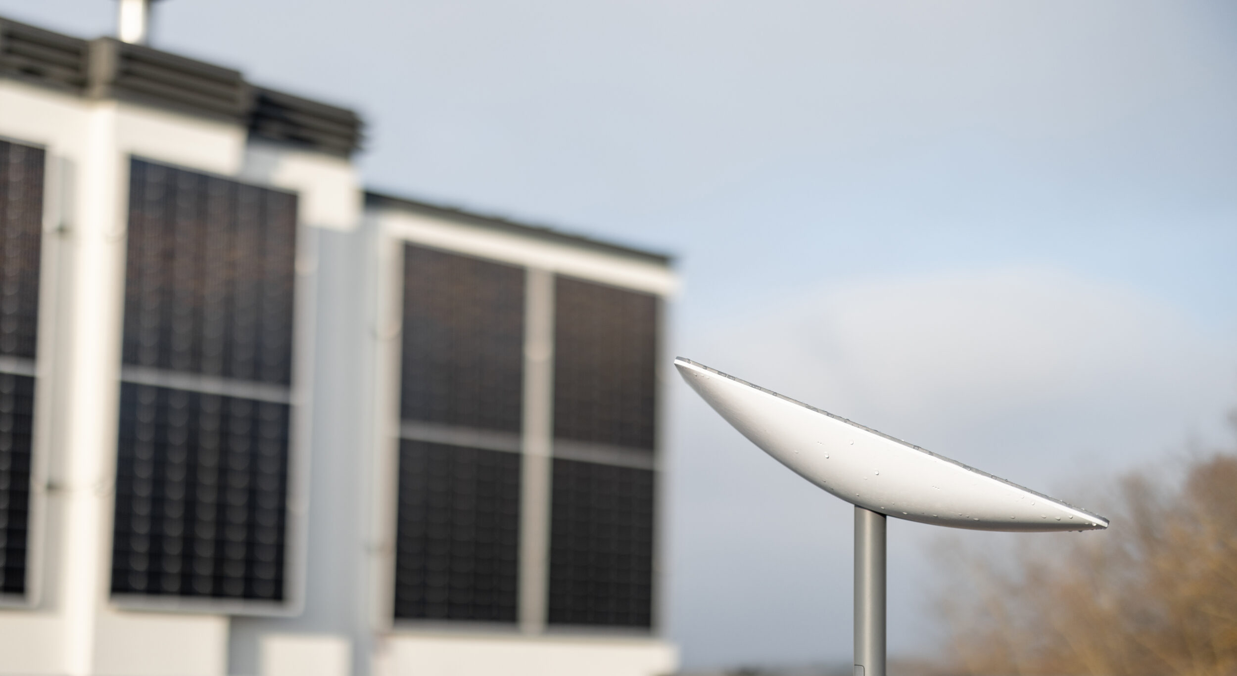 Starlink for business